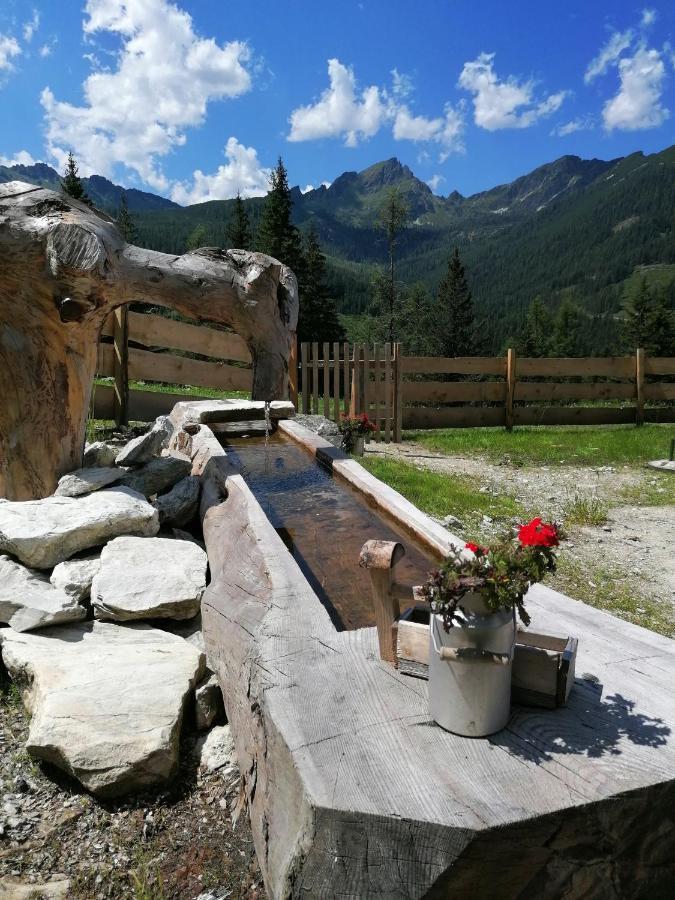 Ampferkaralm Huette Villa Forstau  Exterior foto